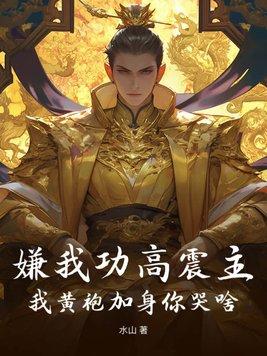 我黄袍加身你哭啥