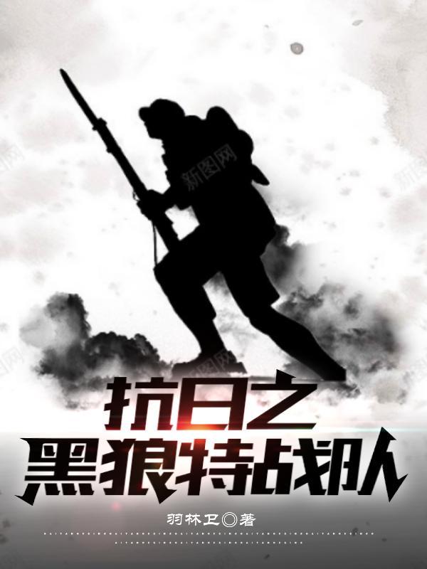 黑狼特战队30集