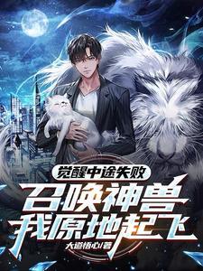 觉醒sss召唤