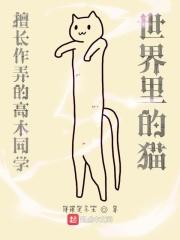 擅长捉弄的高木同学结婚外传