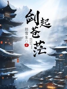 剑起苍澜歌词含义