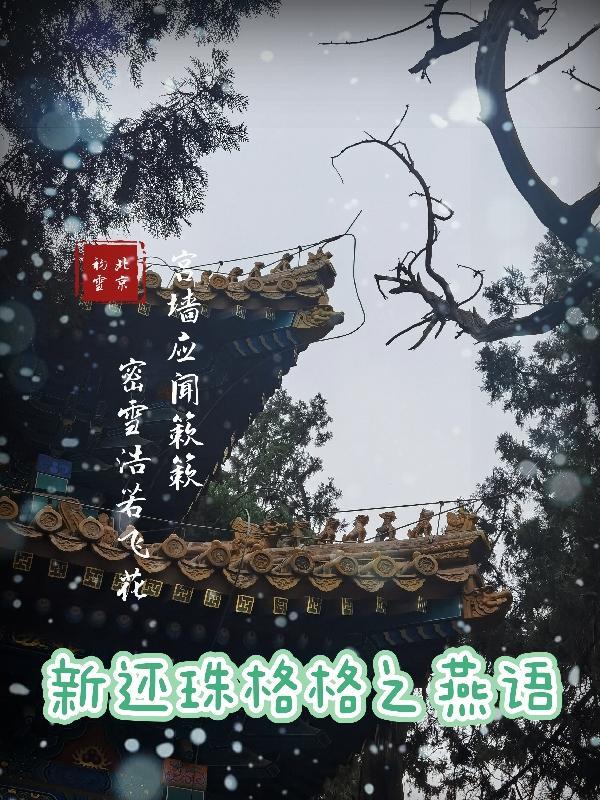 新还珠格格续集完整版