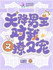 天降猛男免费阅读