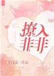 撩入非非向菲