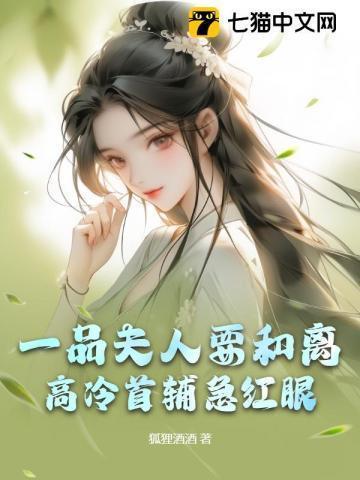 一品夫人相当于今天什么官职
