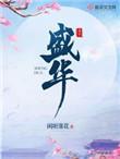 盛华亚集团主要做什么