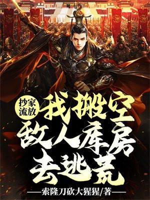 抄家流放我搬空敌人库房去逃荒索隆