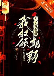 为了养老婆我权倾朝野晋江