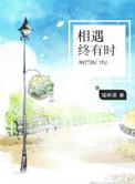 相遇终有时番外免费阅读