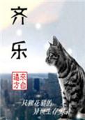 齐乐彩开奖结果结果