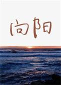 向阳花开