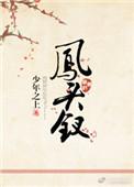 凤头钗 少年之上