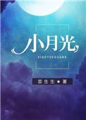 小月光钢琴谱