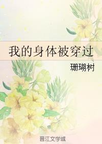 我的身体被穿过百度