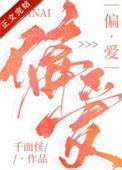 偏爱与例外