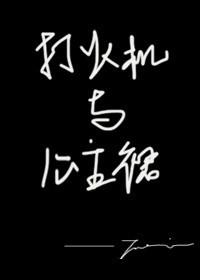 打火机与公主裙长明灯完整阅读