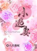 总裁的天价小逃妻
