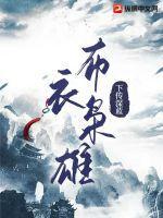 布衣枭雄txt八零电子书
