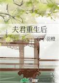 夫君重生后_公子羽橙