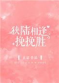 狭陆相逢挽挽胜番外