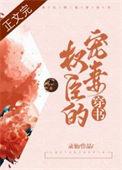 权臣的宠妻穿书百度