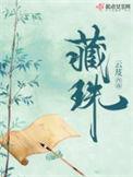 藏珠百度百科