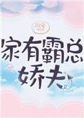 家有霸总娇夫讲了什么