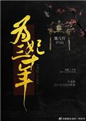 为妃三十年讲了啥