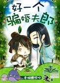 好一个骗婚夫郎书包网