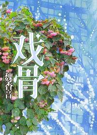 小戏骨红楼梦