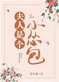 夫人是个小公主书包网
