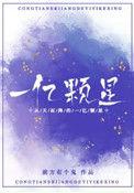 从天而降的一亿颗星星 电视剧
