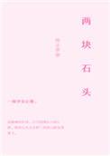 两块石头阅读答案