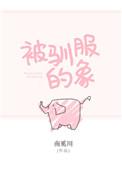 被驯服的象属于什么曲风
