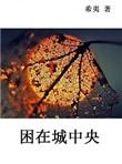 困在城中央by