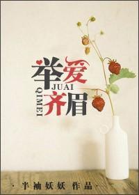 举爱齐眉讲的什么