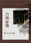 方格玻璃讲了什么