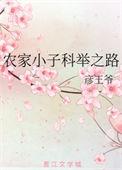农家小子科举之路作者 彦王爷