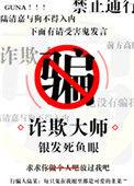 诈欺大师by银发死鱼眼TXT