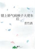 错上娇气病秧子大佬车后笔趣阁
