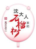 沈大人家的石榴树大结局番外阅读