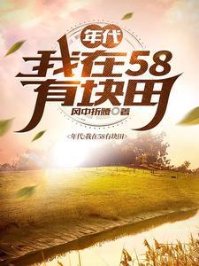 年代我在58有块田全文免费阅读