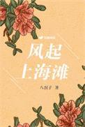 风起上海滩全集观看