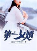 第一女婿月茹梁军