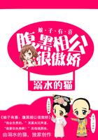 腹黑相公免费阅读