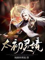 太初灵境停更原因揭秘