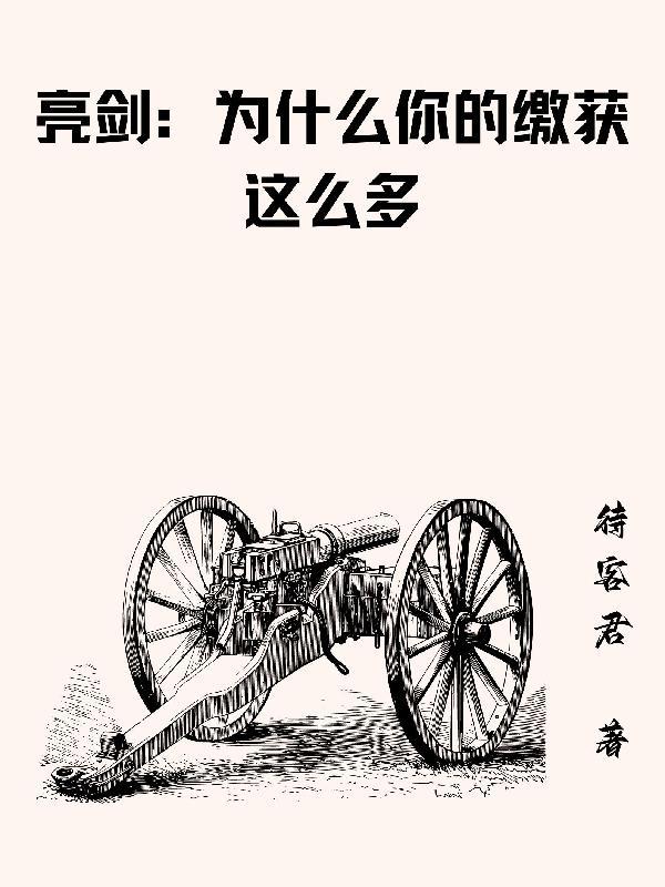 亮剑为什么你的缴获这么多TXT电子书