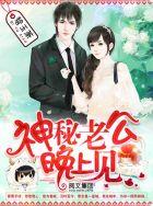 神秘老公晚上见全文