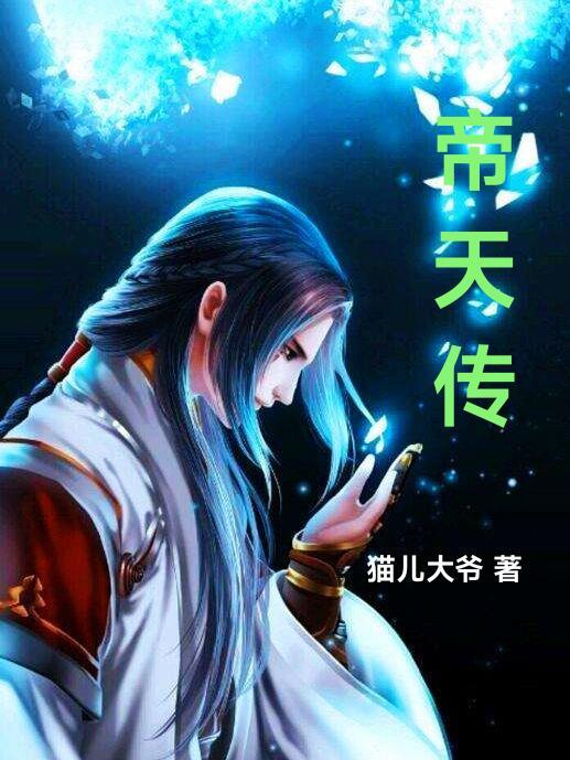 帝天传奇帝天之巅游戏