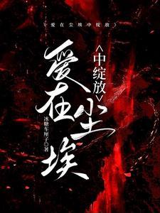 爱在尘埃落定后燃烧免费阅读